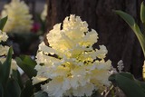 ippan_07