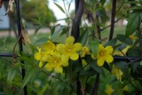 IMGP2587