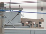 focus_500m