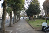 ippan_11
