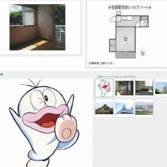 もらい物