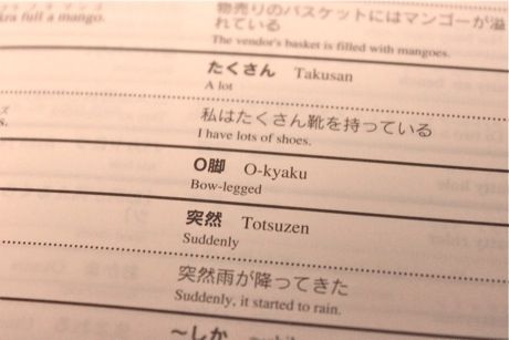 No 0111 パトワ語ハンドブック Hopper K S Island Book Review No 0111 パトワ語ハンドブック Hopper K S Island Book Review