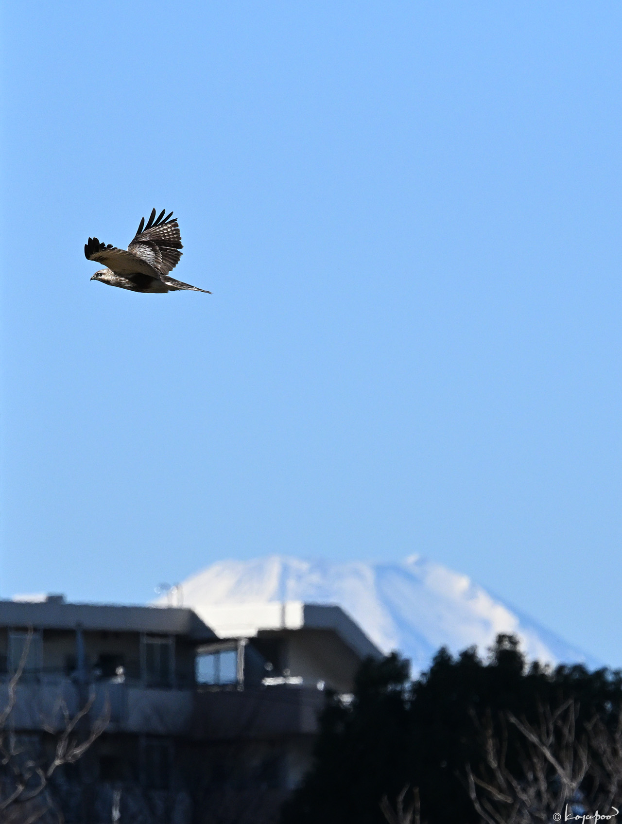 260123X-095x1280 �Υ���