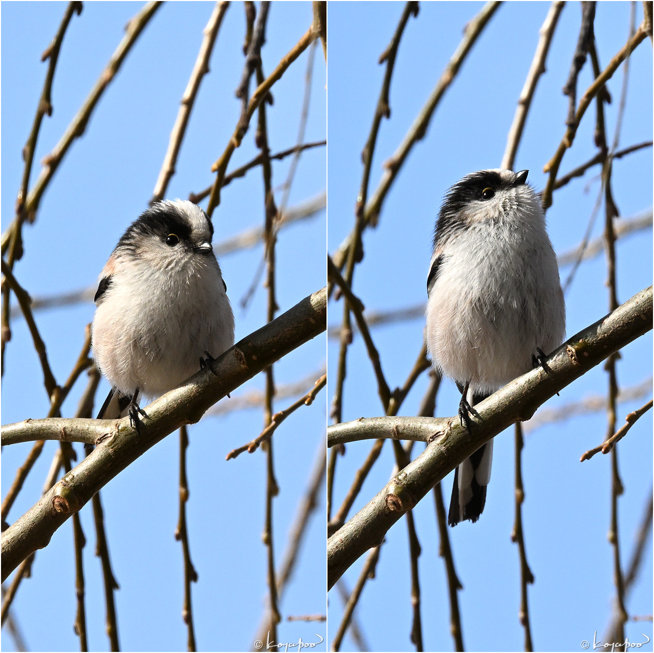 260115X-1718���ʥ�2���� ¿�����и�¦