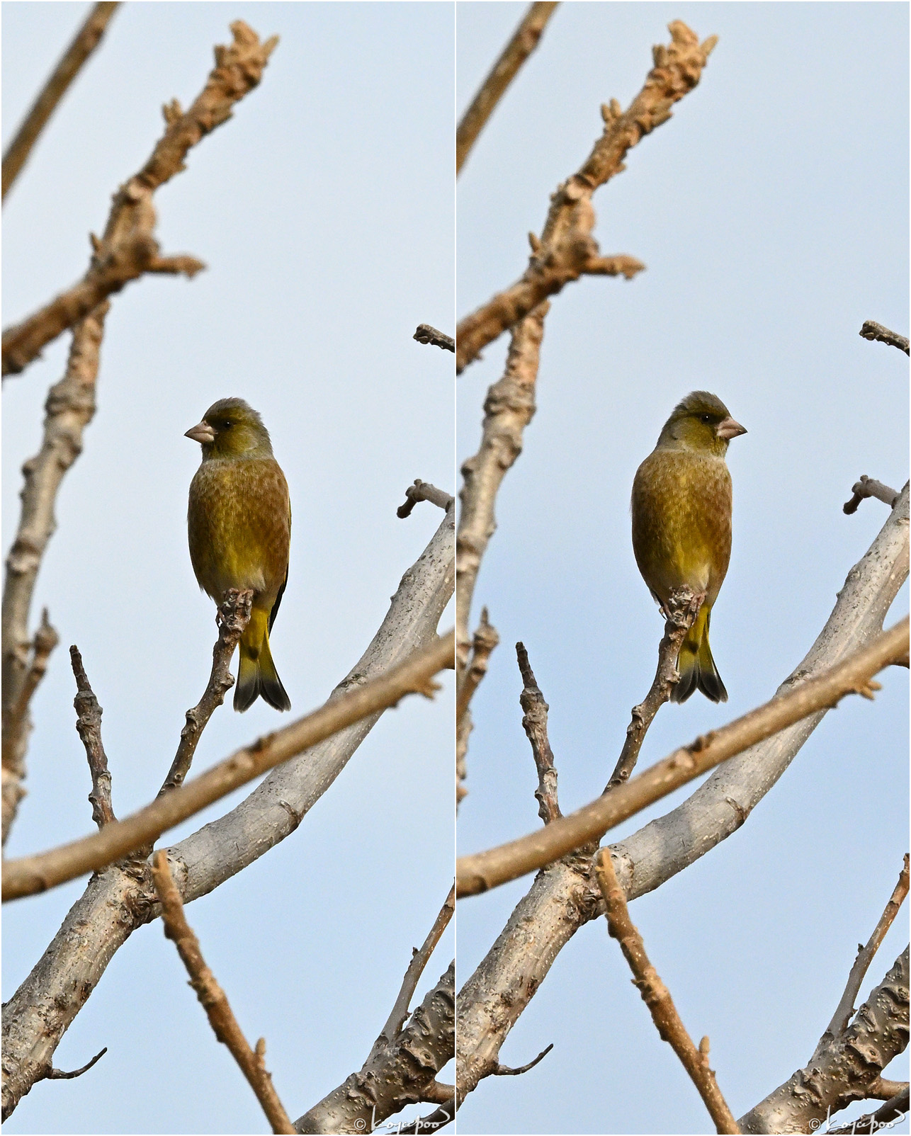 260119X-021�����ҥ�2���� ¿�����и�¦