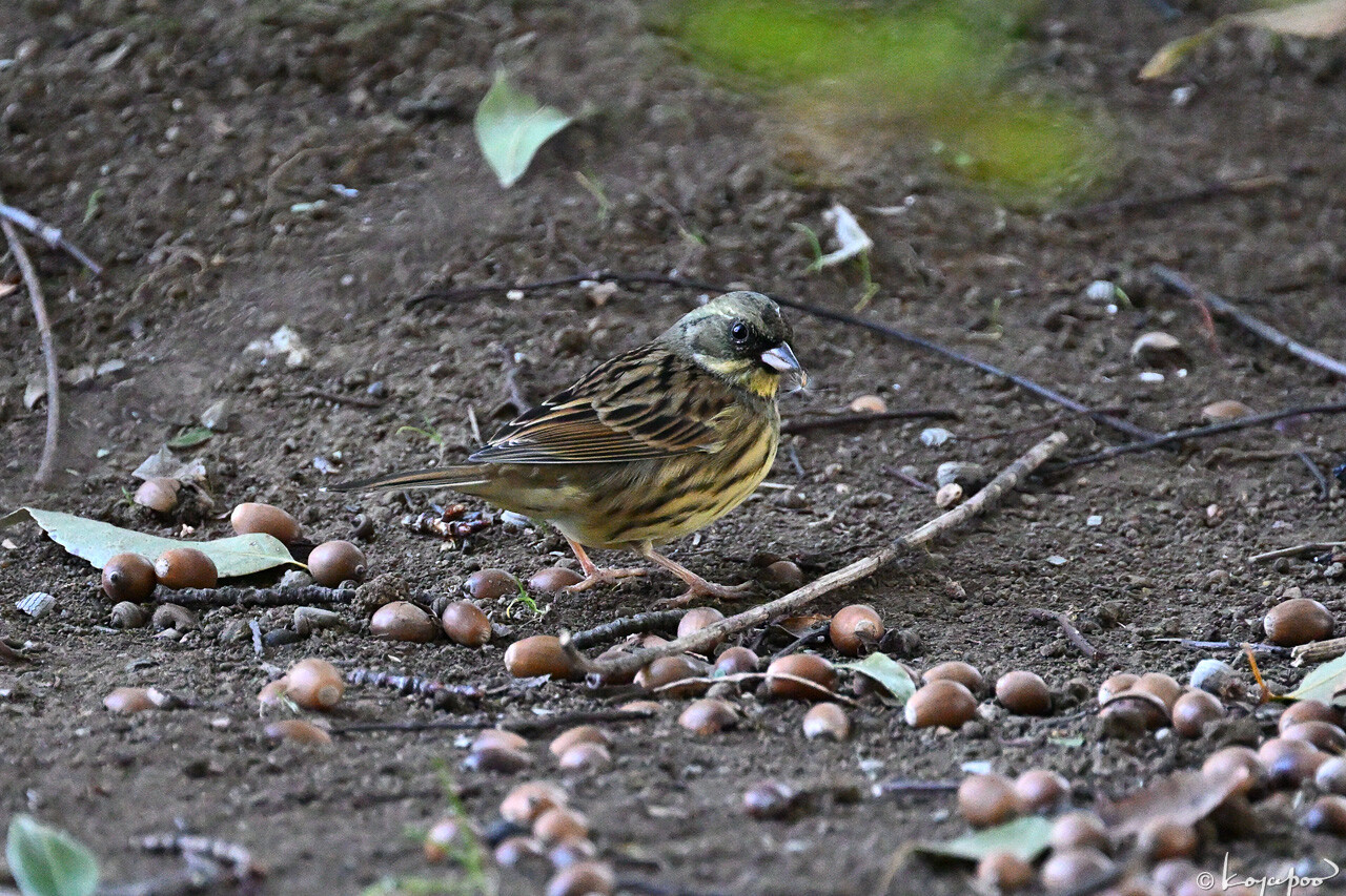 260113X-385x1280 �������ٸ��� ������