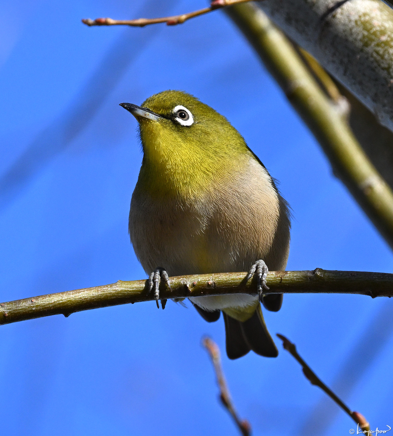 260108X-605x1280 ¿�����и�¦ �᥸��