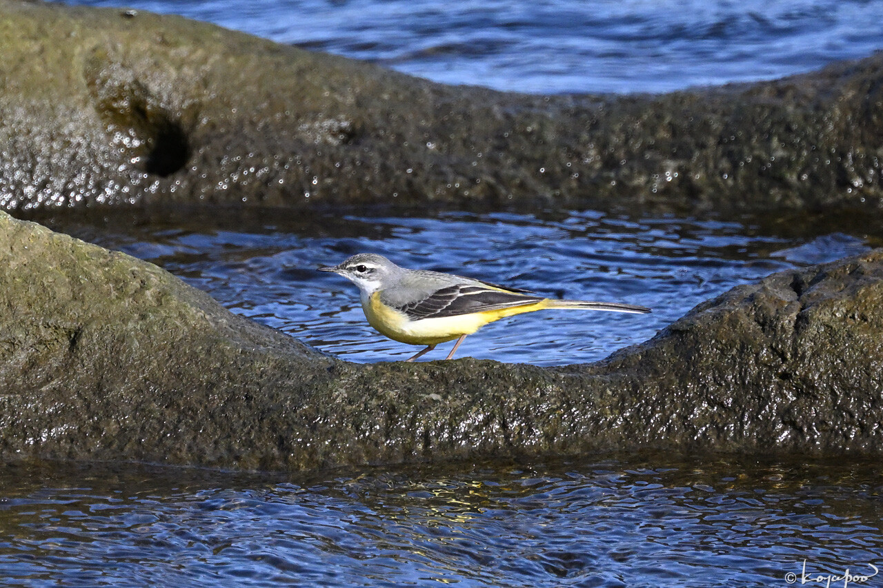 260115X-822x1280 ¿�����и�¦ �������쥤