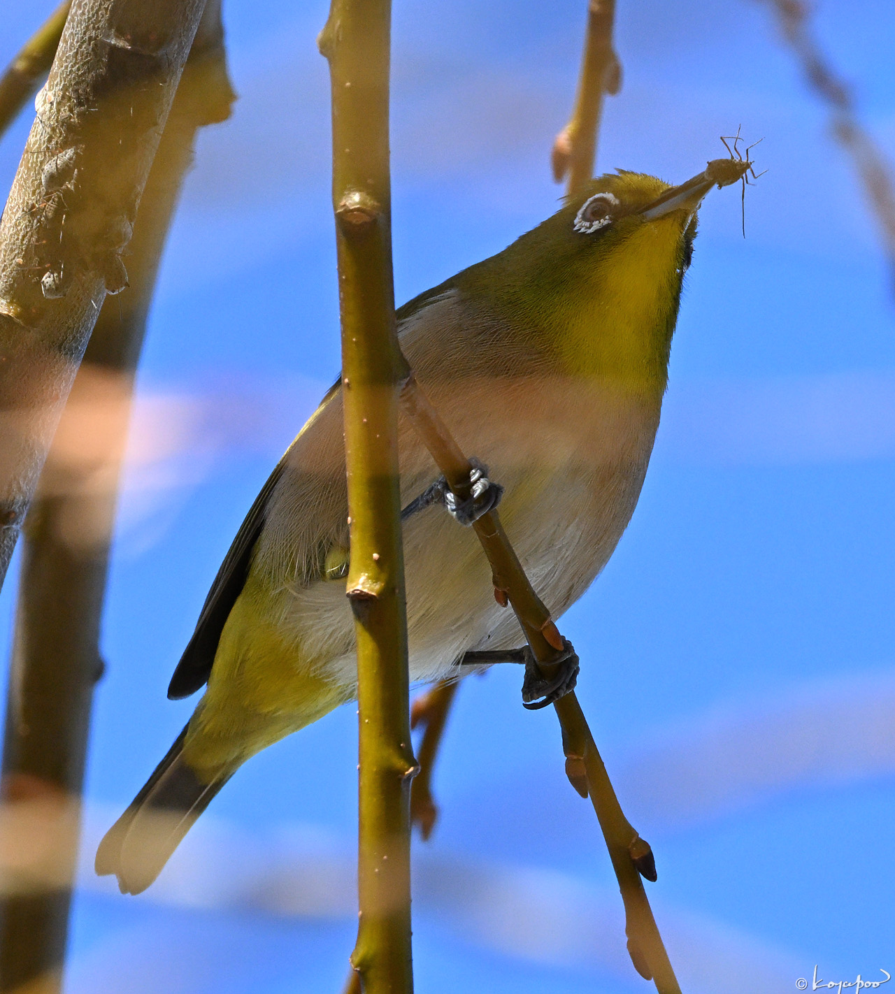 260108X-687x1280 ¿�����и�¦ �᥸��