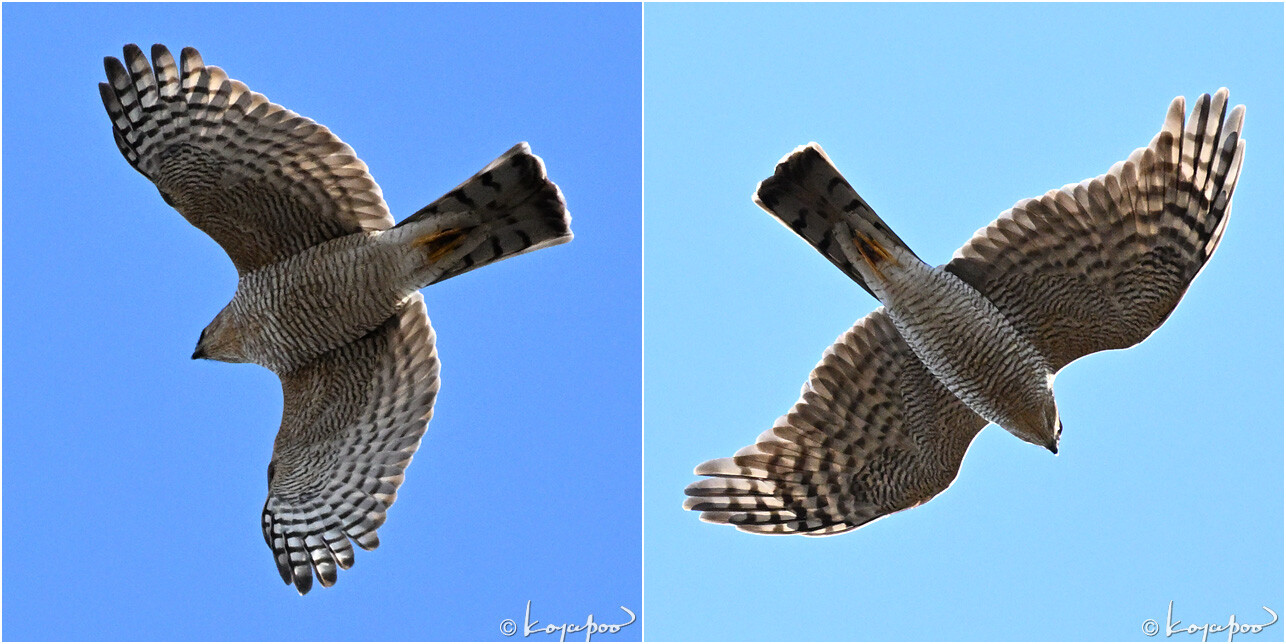 260102X-170�ϥ�����2���� ¿�����и�¦