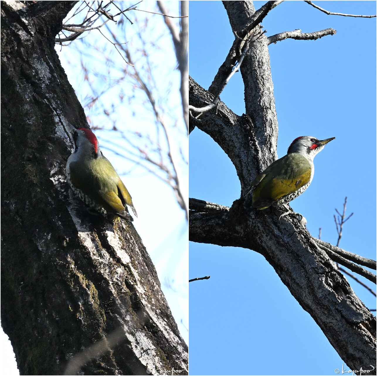 260130X-007��������2���� ��������