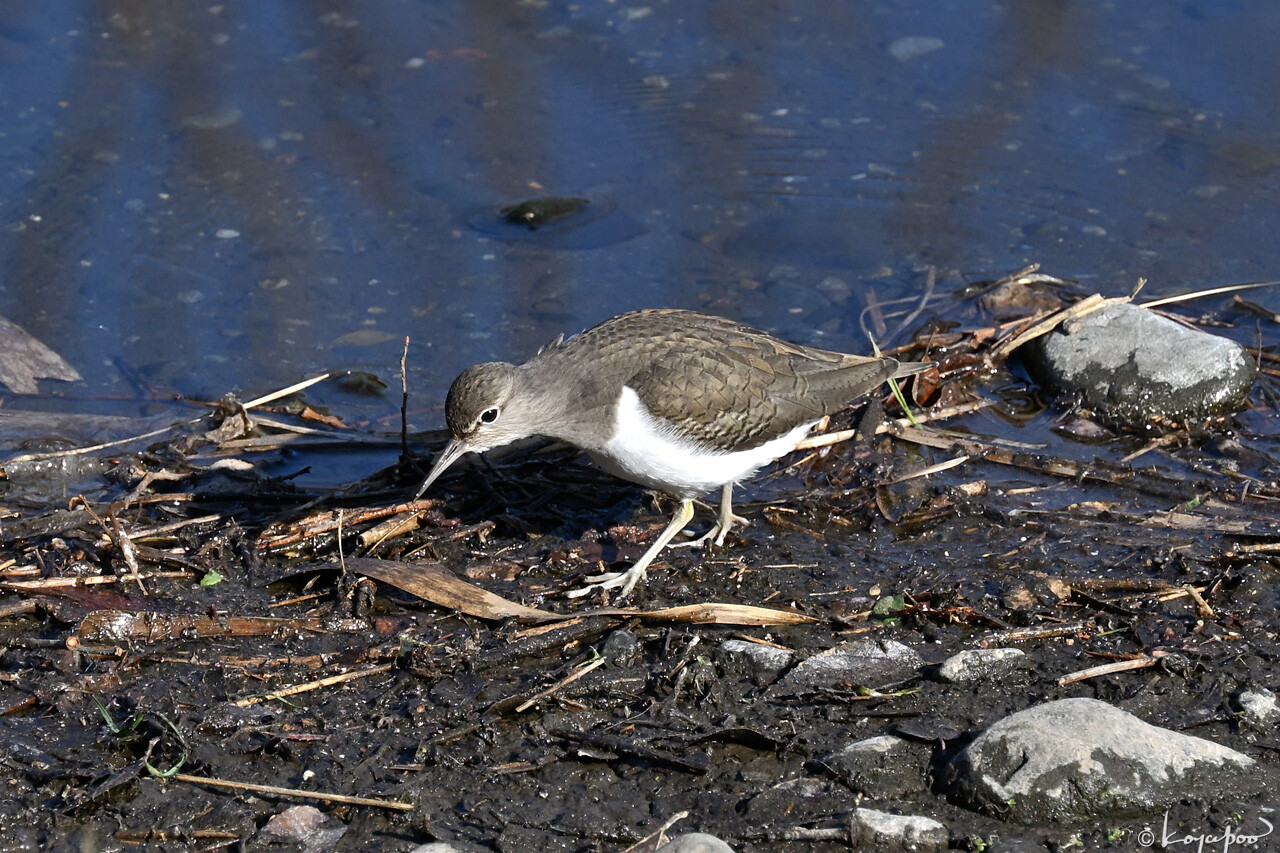 260113X-620x1280 ���� ��������