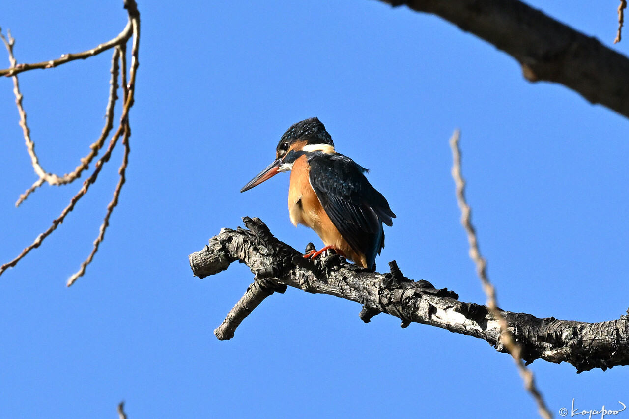 260122X-407x1280 ¿�����и�¦ ���糧��