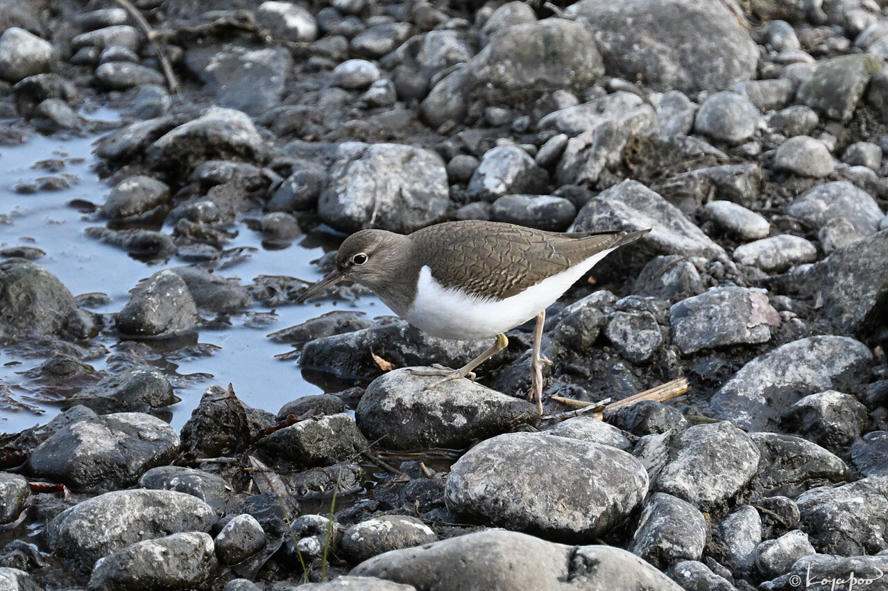 260113X-591x1280 ���� ��������