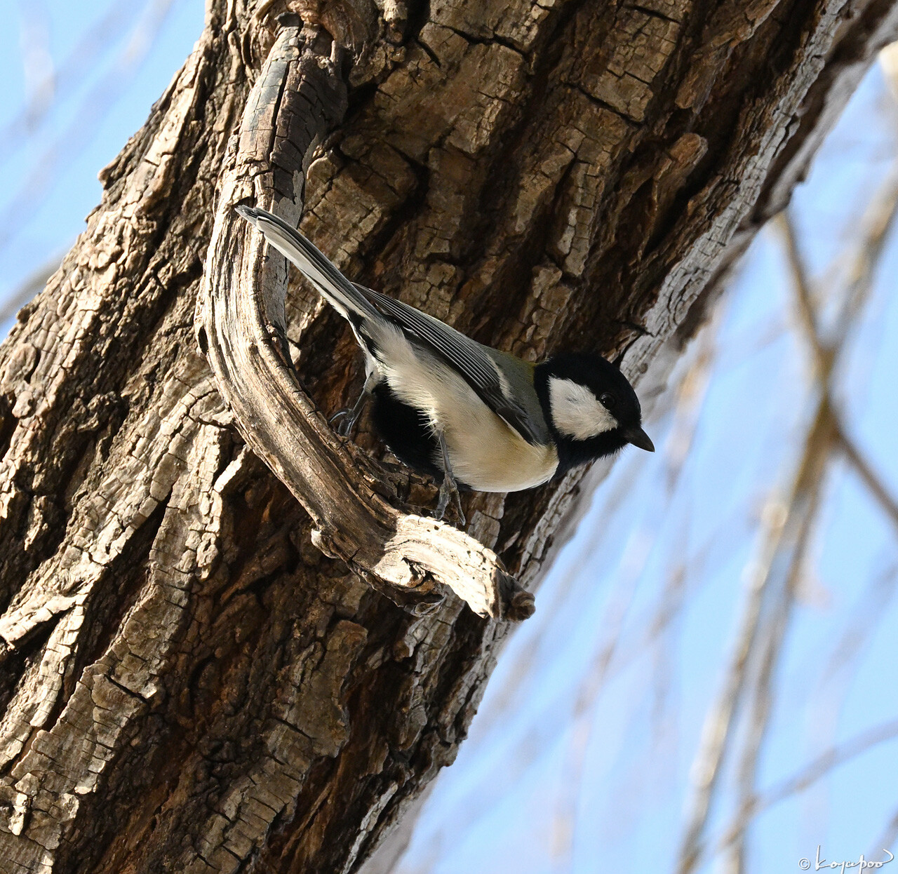 260115X-1807x1280 ¿�����и�¦ �����奦����