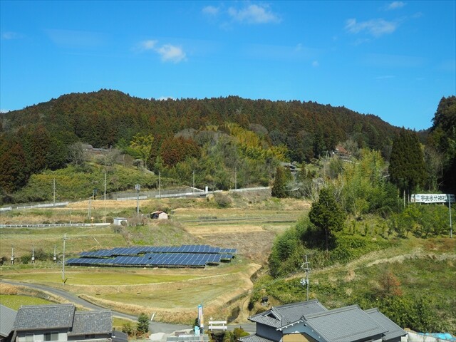 P3060013_R