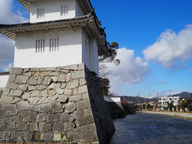 P1290034