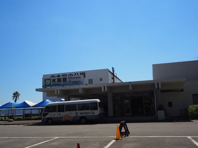串本海中公園 やっぱ 中野くんの ブログを 最高やな