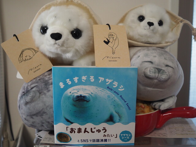 海遊館のワモンアザラシのミゾレちゃんハーフバースデーグッズが届いたよ やっぱ 中野くんの ブログを 最高やな