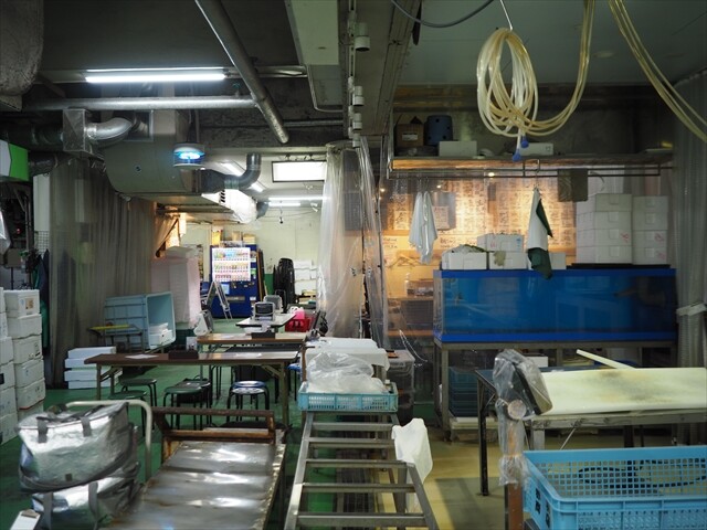 P3060031_R