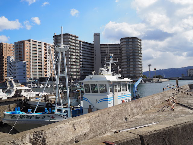 P1290065