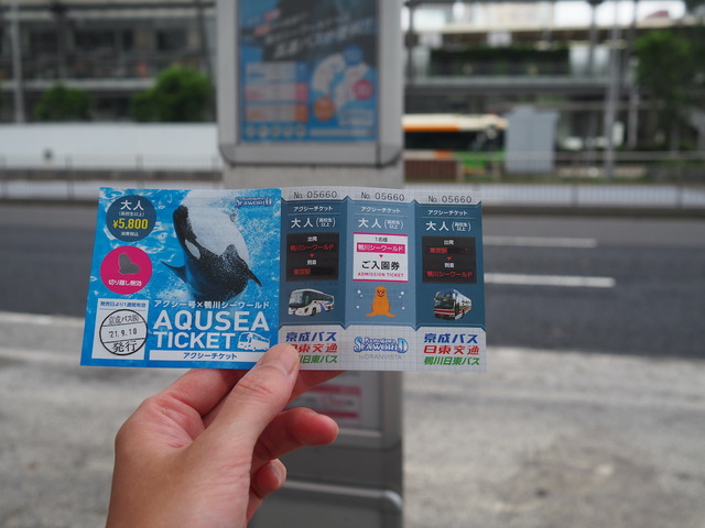 鴨川シーワールドにワモンアザラシを見にいく やっぱ 中野くんの ブログを 最高やな