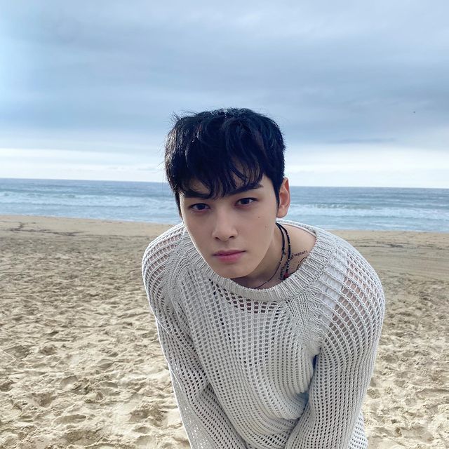 Cha Eunwoo (Actor) Wiki, Bio, Age, Height, Weight, Net Worth