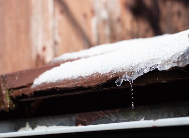 2 19から 雨水 春はデトックスがポイント 薬膳料理 鍋 スープの材料通販 漢方 薬膳食材専門店 甜蜜蜜 ティムマッマッ 店主ブログ
