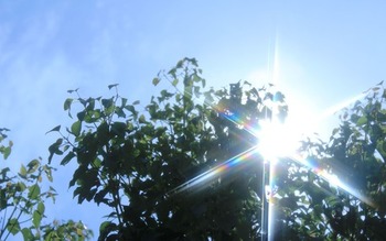 f705c119-s