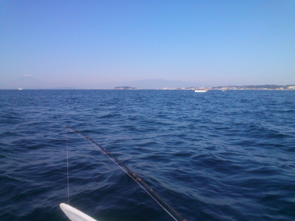 14年10月29日 葉山森戸海岸釣行 ボート釣り ダンチョウ釣行日記