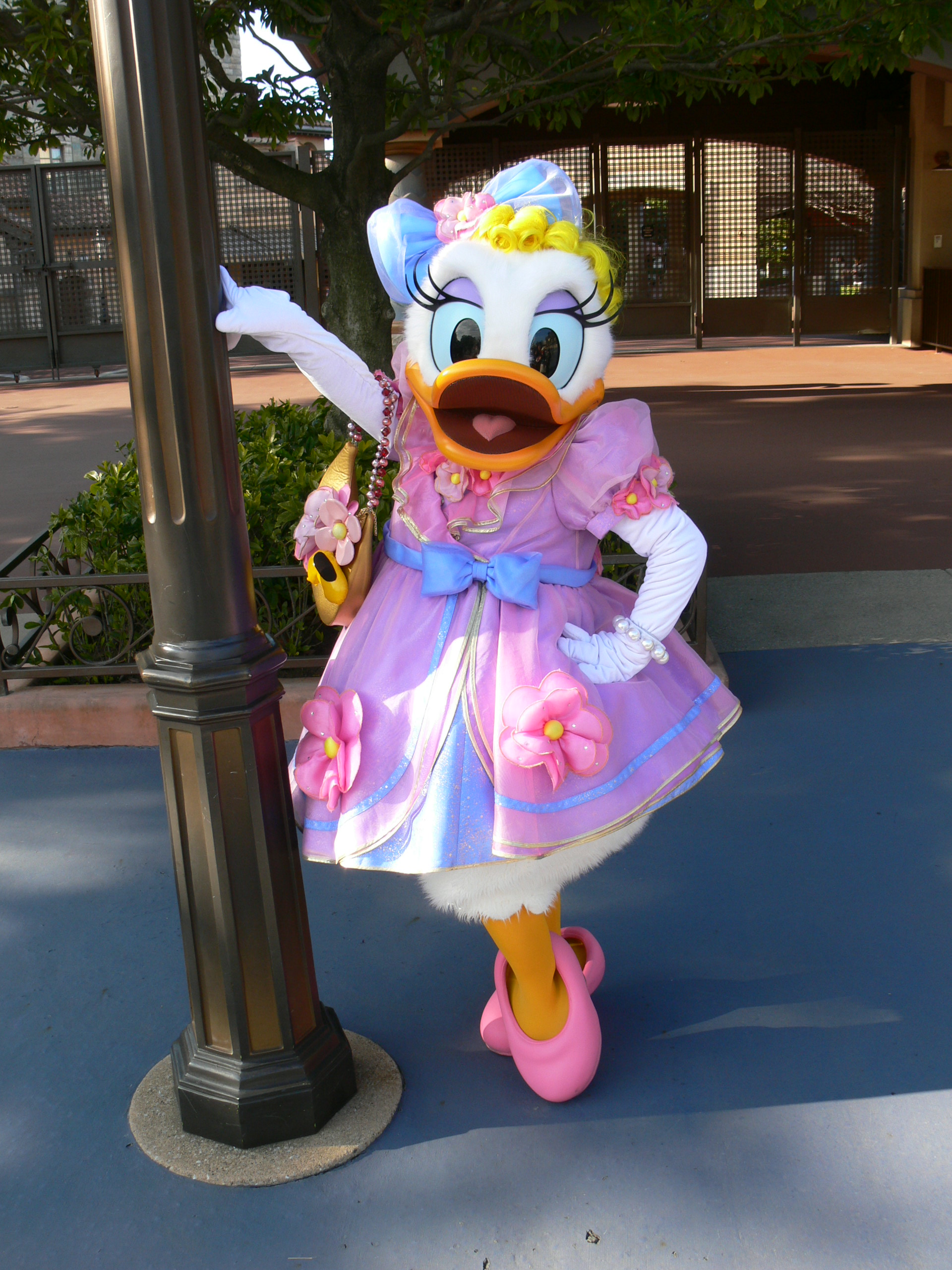 Happybirthday デイジーダック 花よりディズニー