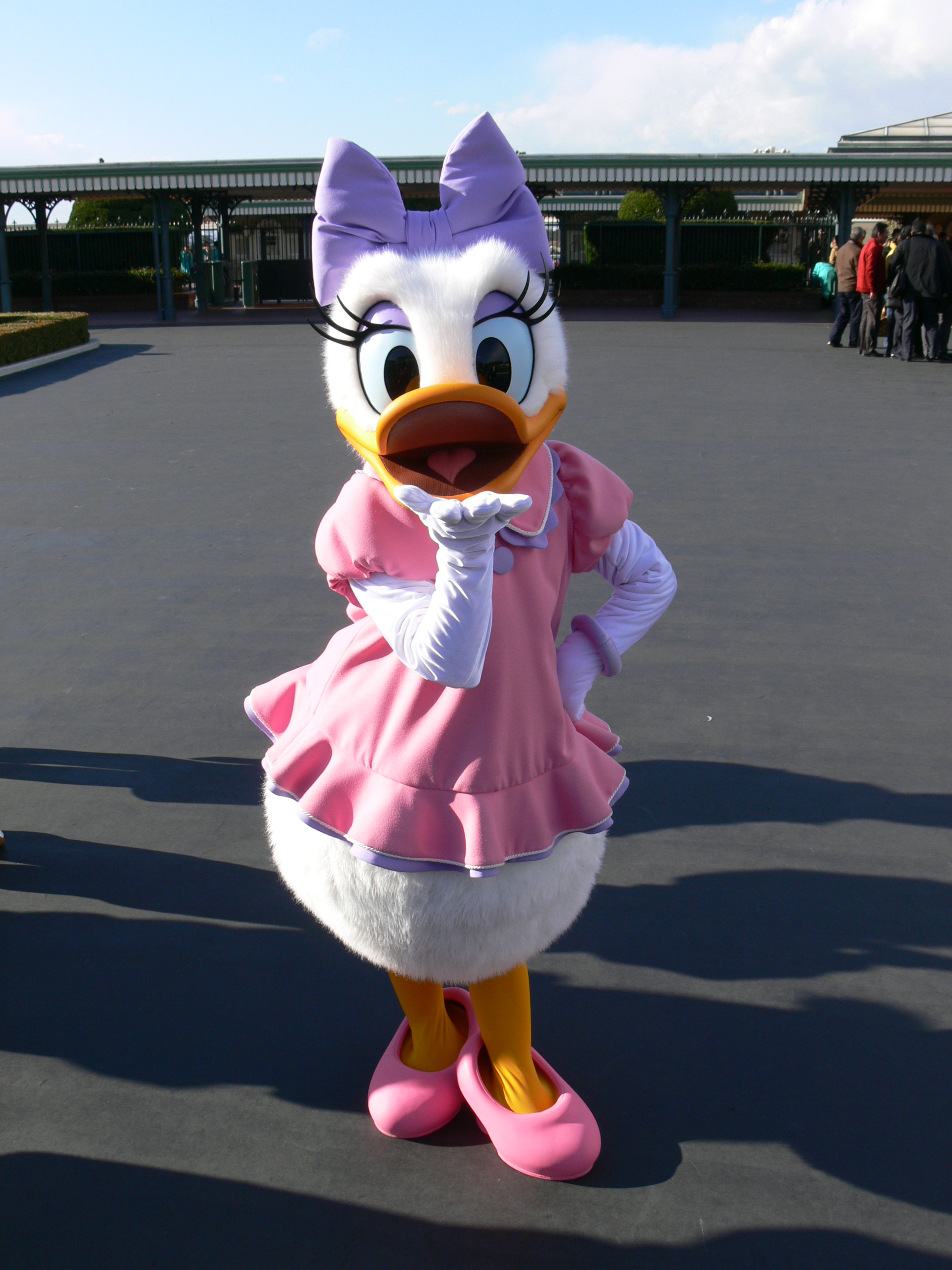 Happybirthday デイジーダック 花よりディズニー