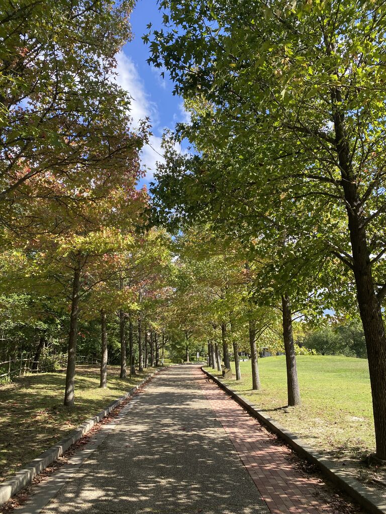 ツバス塩焼き 毎日が日曜おじさんの料理 競馬