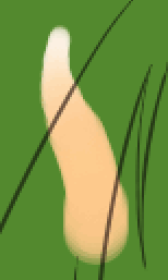 描き始めが白くなった状態