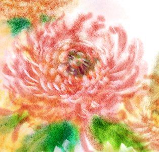 ハードメディアコントロール