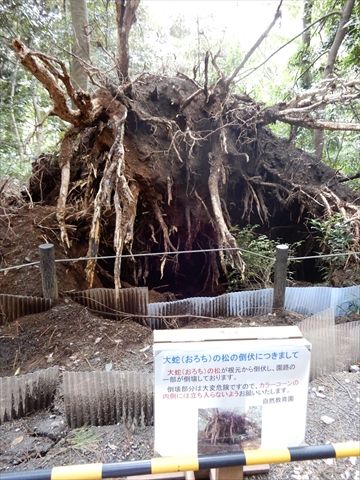 DSCN2961_R