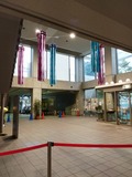 IMG_20200703_175519