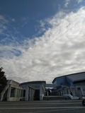 IMG_20201101_085732