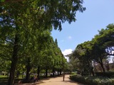IMG_20200719_115816