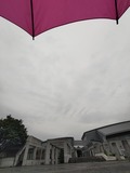 P_20230606_175156
