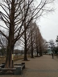 IMG_20190211_090516