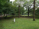 IMG_20180623_135454