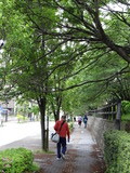 DSC03005