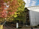IMG_20201107_150001