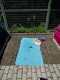 IMG_20180826_114621