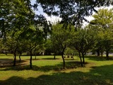 IMG_20190804_105910