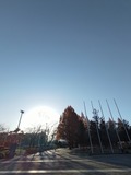 P_20231210_151105