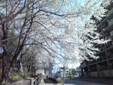 K3410585