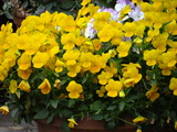 DSC02283
