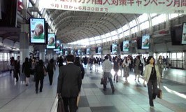 73d8779c.jpg